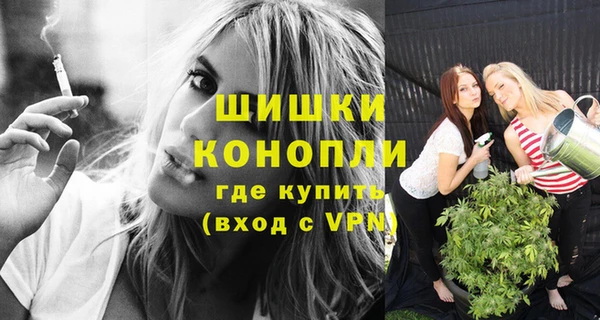 ГАЛЛЮЦИНОГЕННЫЕ ГРИБЫ Ладушкин