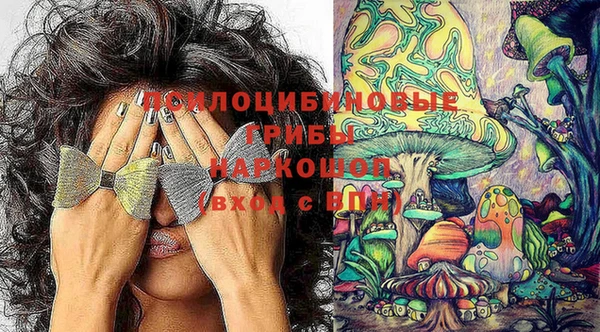 бутират Горно-Алтайск