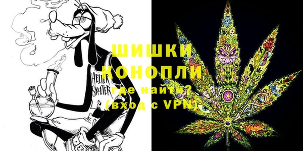 ГАЛЛЮЦИНОГЕННЫЕ ГРИБЫ Ладушкин