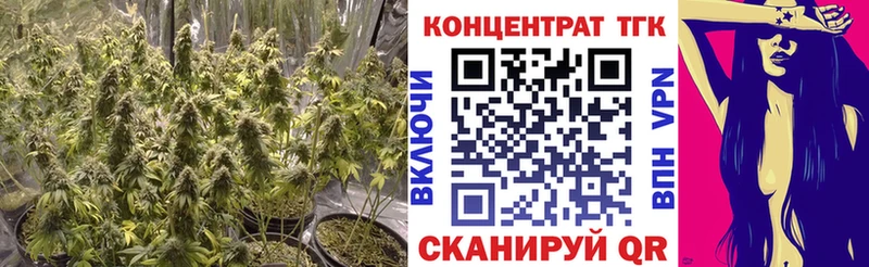 Дистиллят ТГК вейп с тгк  дарнет шоп  KRAKEN   Гай 
