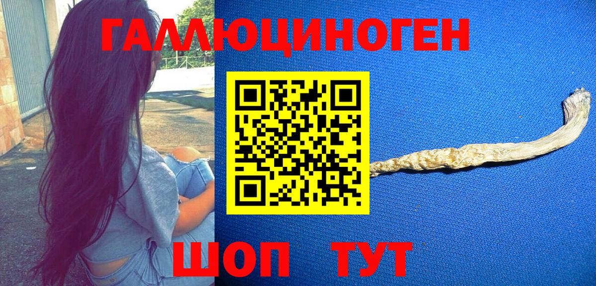 даркнет сайт  Галлюциногенные грибы Magic Shrooms  Вход с VPN  Гай 