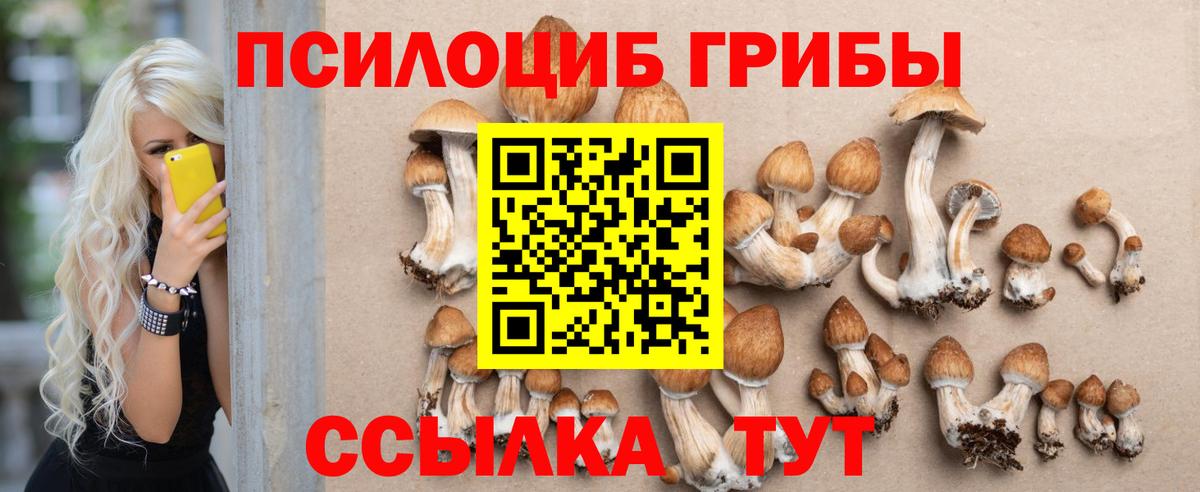 Галлюциногенные грибы Psilocybe  Галлюциногенные грибы мухоморы  Гай 