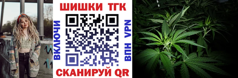 Каннабис индика  Гай 