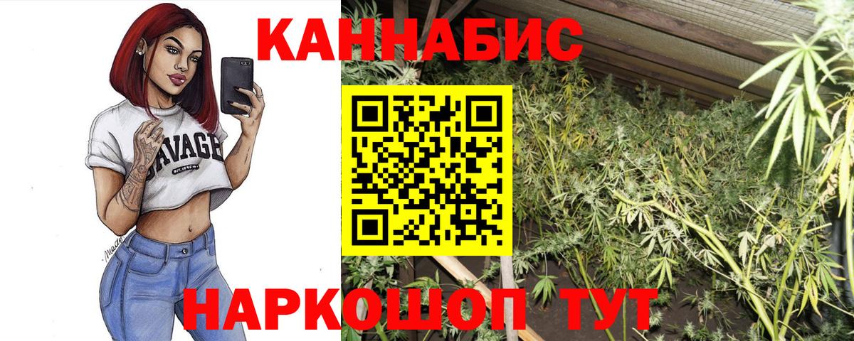 МАРИХУАНА марихуана  Каннабис конопля  Вход с VPN  Гай  Шишки марихуана OG Kush 